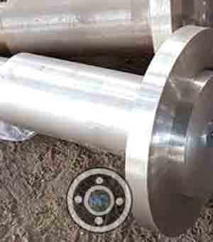 2.4819 Hastelloy Long Weld Neck Flange