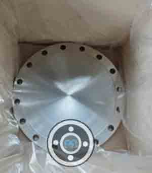 300 LBS Stainless Steel BLRF Flanges