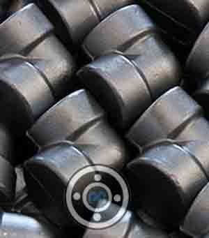 3000 Lb Carbon Steel Forged Fittings
