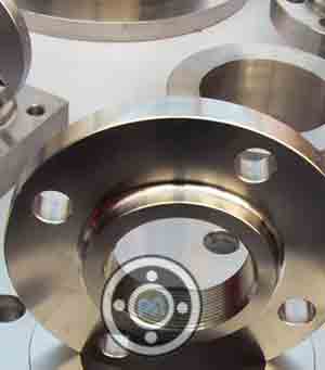 310 Stainless Steel Screwed Flange