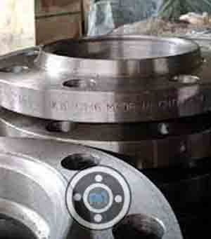 316 Stainless Steel RFLJ Flange