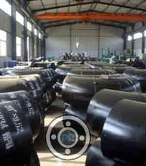 45 Degree Black Pipe Elbow