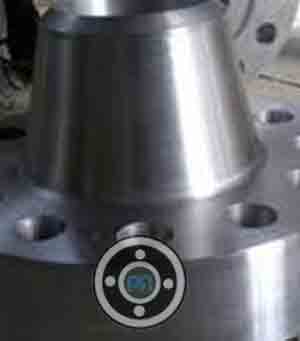5000 NB 304L Stainless Steel Girth Flanges