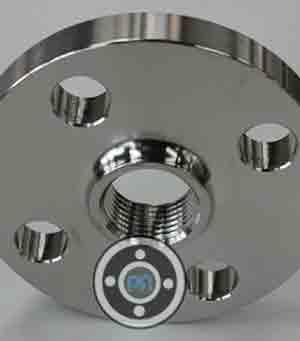 5000 NB 310 SS Threaded Flange