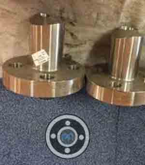 5000 NB C90300 Tin Bronze Nipoflange
