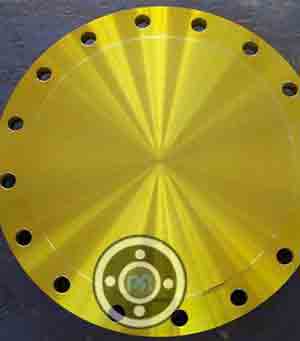 954 Aluminum Bronze BLRF Flanges