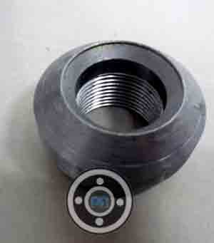 A105 Forged Steel Flexolet Threaded