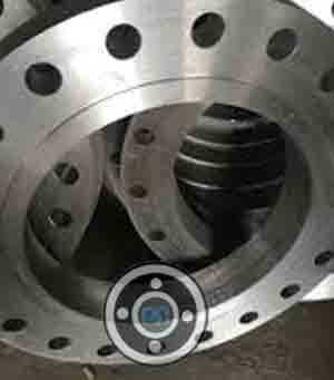 ASTM A182 F316 LJFF Flange