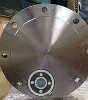 ASTM A182 UNS S31254 Blind Flange