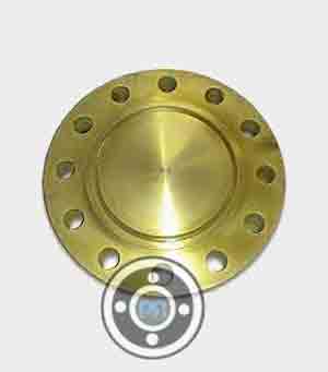Bronze Alloy C83600 Flange