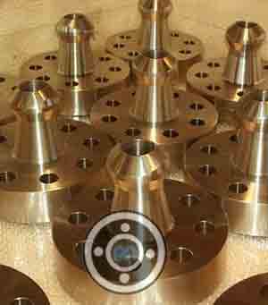 C51000 Phosphor Bronze Nipoflange