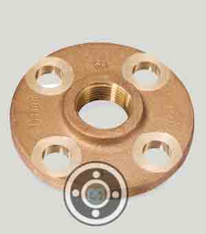 C54400 Phosphor Bronze Screwed Flange