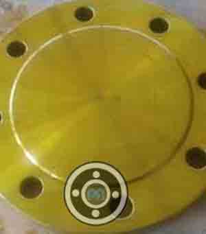 C95800 Nickel Aluminum Bronze Blind Flange
