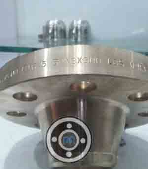 Cupro Nickel Flange
