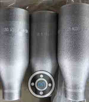 Din 1.4401 Swage Nipple