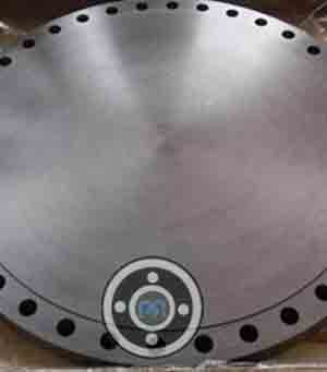 DIN 2.4660 BLRF Flanges