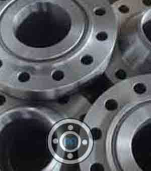 Duplex RTJ Flange