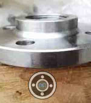 Duplex Steel Flanges