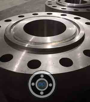 En 1.4547 Ring Joint Flange