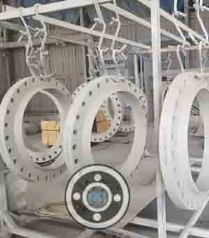 Fbe Lined Flange