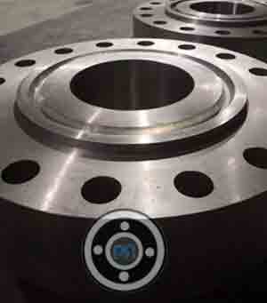 Gi Ring Type Joint Flange