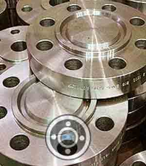 Hastelloy Ring Joint Flange