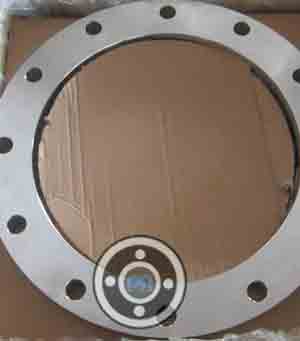 Hastelloy Slip On Flange
