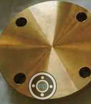 High Tin Bronze Blind Flange