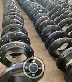 Killed Carbon Steel Weld Neck Flanges