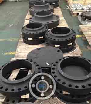 LTCS Flanges