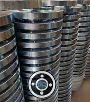 Nickel 201 SWRF Flanges
