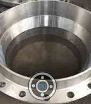 Nickel Flanges