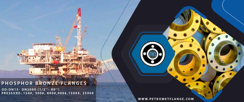 Phosphor Bronze Flanges