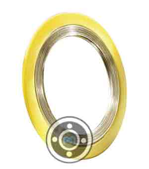 PN40 SS Spiral Wound Gasket