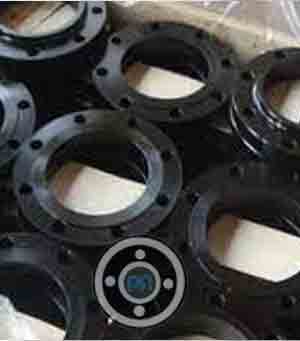 SA 350 Gr LF2 Cl1 Raised Face Flange