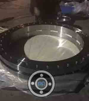 SS 2205 Duplex Raised Face Flange