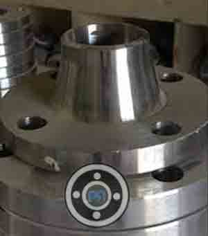SS 304 Weld Neck Flanges
