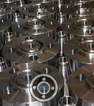SS 304L Ring Joint Flange