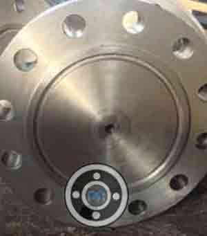 SS 316 BLRF Flanges