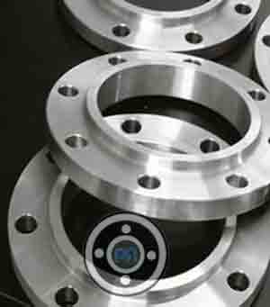 Stainless Steel 310 Flanges