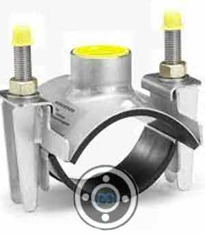 Stainless Steel Branch Saddle Tee