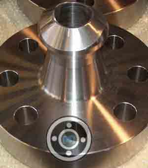 Stainless Steel Weldo Flange 