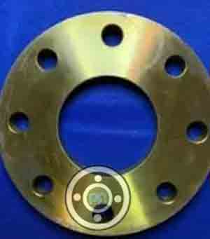 Tin Phosphor Bronze Plate Flange