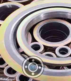 Type HTX Spiral Wound Gaskets