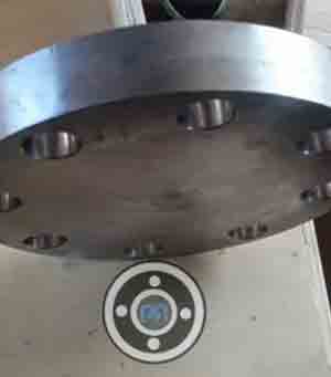 UNS N08825 BLRF Flanges