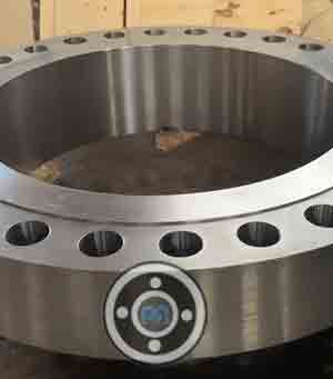 UNS S31254 Girth Flanges