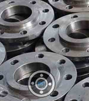 UNS S31803 Female Threaded Flange