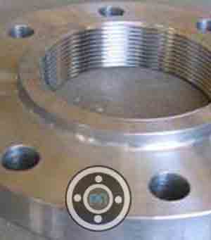 UNS S31803 Screwed Flange