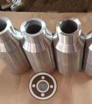 UNS S31803 Swage Nipples